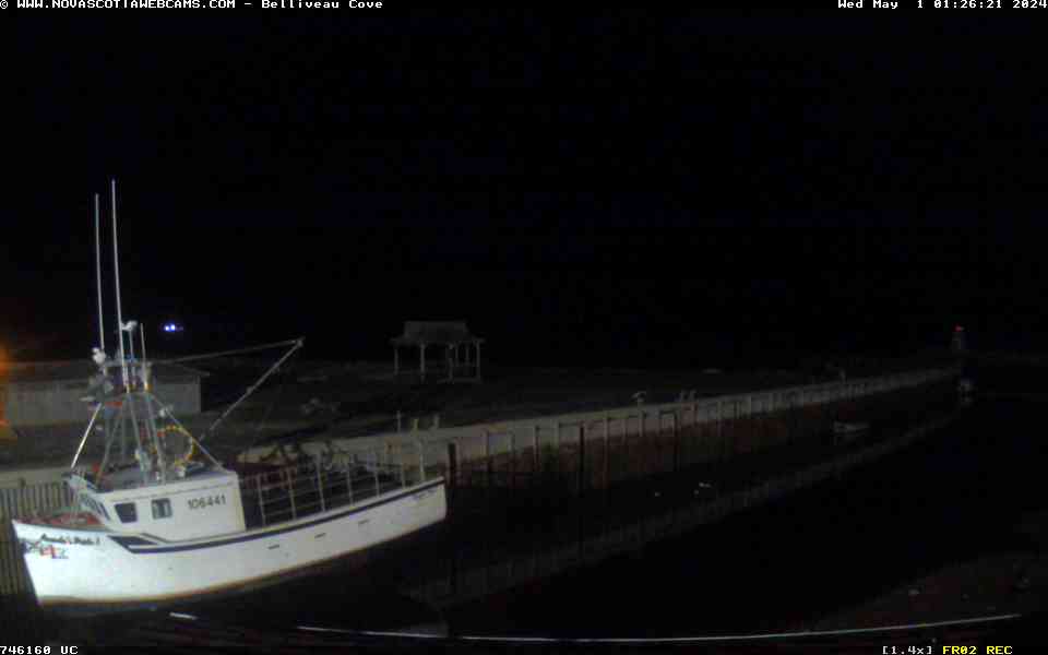 Belliveau Cove Webcam